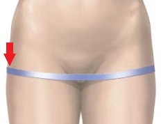 hip